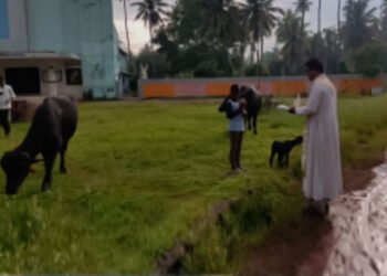 ഫ്രാൻസിസ് അസ്സിസിയുടെ തിരുനാൾ ദിനത്തിൽ വളർത്തുമൃഗങ്ങളെ ആശീർവദിച്ച് അരയതുരുത്തി ഇടവക