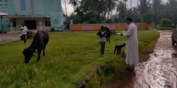 ഫ്രാൻസിസ് അസ്സിസിയുടെ തിരുനാൾ ദിനത്തിൽ വളർത്തുമൃഗങ്ങളെ ആശീർവദിച്ച് അരയതുരുത്തി ഇടവക