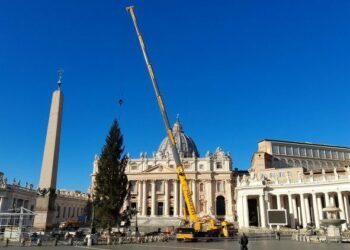 വത്തിക്കാനിലെ സെന്റ് പീറ്റർസ് സ്ക്വയറിൽ സ്ഥാപിക്കാനുള്ള ക്രിസ്തുമസ് ട്രീ എത്തി; ആഘോഷത്തിനുശേഷം ട്രീ കുട്ടികൾക്കുള്ള കളിപ്പാട്ടങ്ങളാക്കി മാറ്റും