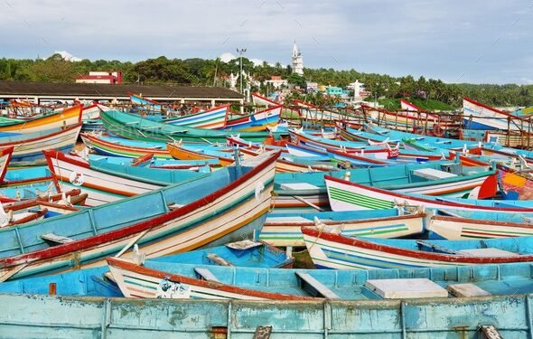 വിഴിഞ്ഞത്ത് മത്സ്യലഭ്യത കുറഞ്ഞതിനാൽ തീരം വറുതിയിൽ : മത്സ്യത്തൊഴിലാളികൾ ആശങ്കയിൽ