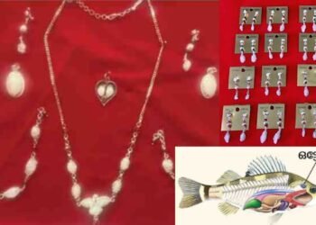 മീനിന്റെ ചെവിക്കല്ലിൽ നിന്നും ആഭരണങ്ങൾ: സി.എം.എഫ്.ആർ.ഐ പരിശീലനം നൽകുന്നു