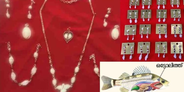 മീനിന്റെ ചെവിക്കല്ലിൽ നിന്നും ആഭരണങ്ങൾ: സി.എം.എഫ്.ആർ.ഐ പരിശീലനം നൽകുന്നു