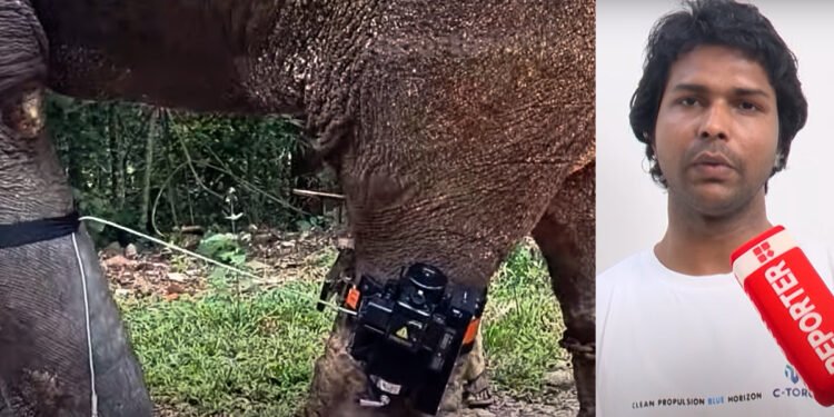 മദയാനയെ ഞൊടിയിൽ തളക്കാൻ ഉപകരണം: പൊഴിയൂർ സ്വദേശി അനു വിൽഫ്രഡിന്റെ കണ്ടുപിടിത്തം ശ്രദ്ധനേടുന്നു