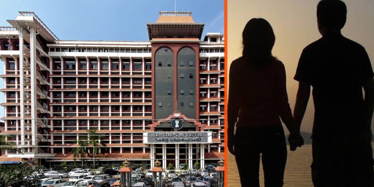 ലിവിങ് ടുഗതര്‍ വിവാഹം അല്ല; പങ്കാളിയെ ഭര്‍ത്താവെന്ന് പറയാനാകില്ല: ഗാര്‍ഹിക പീഡനത്തിന്റെ പരിധിയില്‍ വരില്ലെന്നും ഹൈക്കോടതി