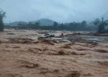 വയനാട്ടിലെ പ്രകൃതി ദുരന്തം: സമാശ്വാസ പ്രവർത്തനങ്ങളിൽ പങ്കുചേരണം-കെആർഎൽസിസി