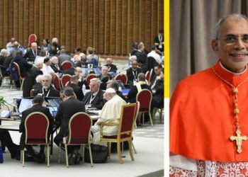സിനഡിന്റെ അന്തിമ രേഖ തയാറാക്കുന്നതിനുള്ള കമ്മിറ്റിയിലേക്ക് ഗോവ ആര്‍ച്ച് ബിഷപ്പിനെ ഫ്രാൻസിസ് പാപ്പ നിയമിച്ചു