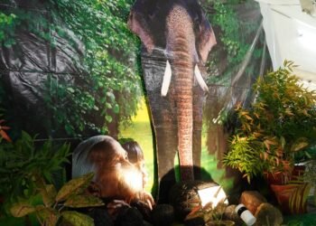 പേട്ട ഇടവകയിൽ പ്രകൃതിയെ കൂട്ടുപിടിച്ച് നടത്തിയ മിഷൻ ഞായർ പ്രവർത്തനം ശ്രദ്ധേയമായി