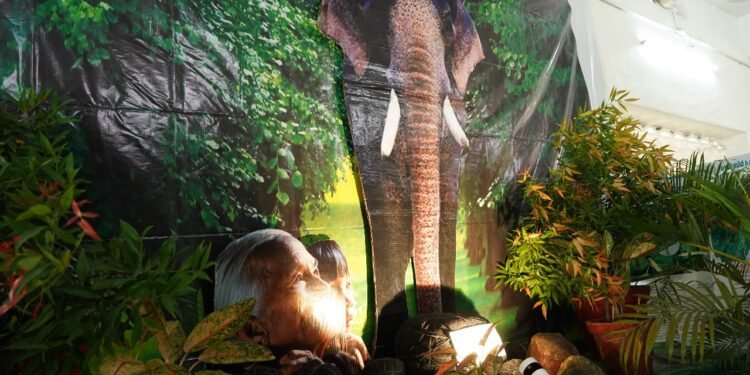 പേട്ട ഇടവകയിൽ പ്രകൃതിയെ കൂട്ടുപിടിച്ച് നടത്തിയ മിഷൻ ഞായർ പ്രവർത്തനം ശ്രദ്ധേയമായി