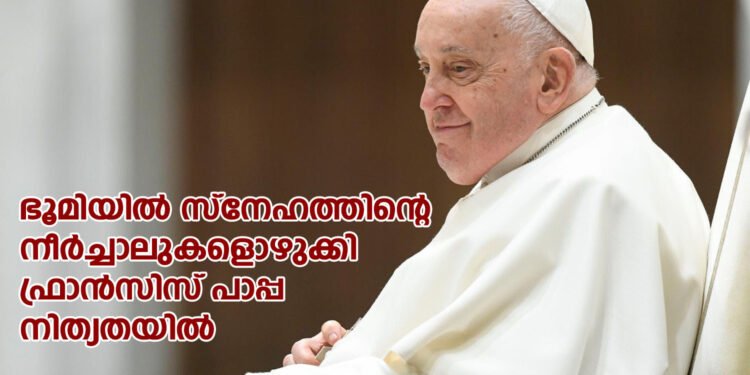 ഭൂമിയില്‍ സ്‌നേഹത്തിന്റെ നീര്‍ച്ചാലുകളൊഴുക്കി ഫ്രാന്‍സിസ് പാപ്പ നിത്യതയില്‍