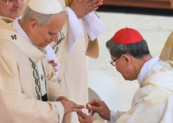 വിശുദ്ധ പത്രോസിന്റെ സിംഹാസനത്തിൽ ലിയോ പതിനാലാമൻ പാപ്പ; പാലിയവും മുക്കുവന്റെ മോതിരവും ഏറ്റുവാങ്ങി