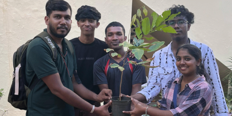 പരിസ്ഥിതി ദിനത്തിൽ എല്ലാ ഇടവകയിലും വൃക്ഷത്തൈ വിതരണം ചെയ്ത് പേട്ട ഫെറോന യുവജന ശുശ്രൂഷ