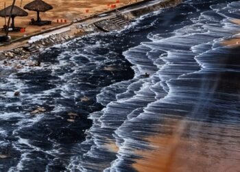 2025 പരിസ്ഥിതിദിന തീം: ‘പ്ലാസ്റ്റിക് മലിനീകരണം അവസാനിപ്പിക്കുക’; കപ്പലപകടം തീരത്തെ പ്ലാസ്റ്റിക്കിൽ മുക്കുന്നു