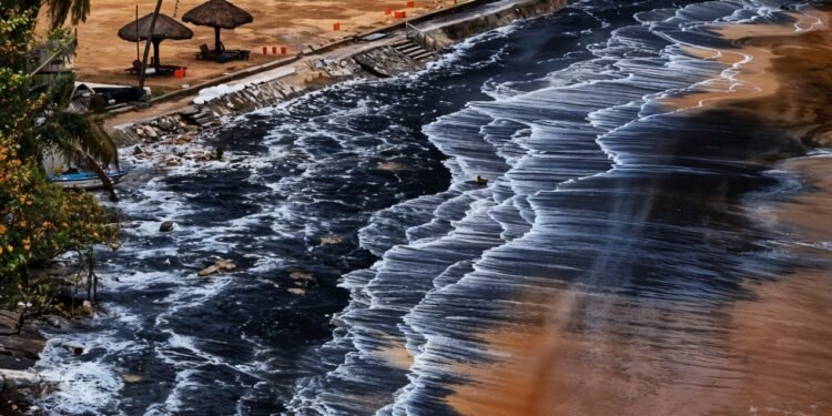 2025 പരിസ്ഥിതിദിന തീം: ‘പ്ലാസ്റ്റിക് മലിനീകരണം അവസാനിപ്പിക്കുക’; കപ്പലപകടം തീരത്തെ പ്ലാസ്റ്റിക്കിൽ മുക്കുന്നു