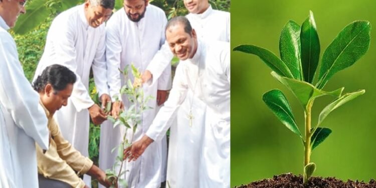 പിഒസിയിൽ പരിസ്ഥിതി ദിനാചരണത്തിന്‌ ബിഷപ് ക്രിസ്തുദാസ് നേതൃത്വം നൽകി