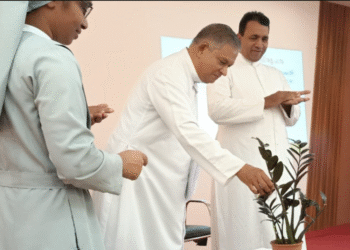 ബി.സി.സി. കോ-ഓര്‍ഡിനേറ്റര്‍മാരുടെയും സിസ്റ്റര്‍ ആനിമേറ്റര്‍മാരുടെയും അതിരൂപതാതല പരിശീലനം സംഘടിപ്പിച്ചു