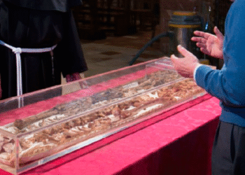 വിശുദ്ധ ഫ്രാൻസിസ് അസീസ്സിയുടെ ഭൗതീക തിരുശേഷിപ്പുകൾ പരസ്യവണക്കത്തിനായി തുറക്കും